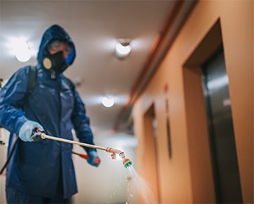 Disinfectant Spraying